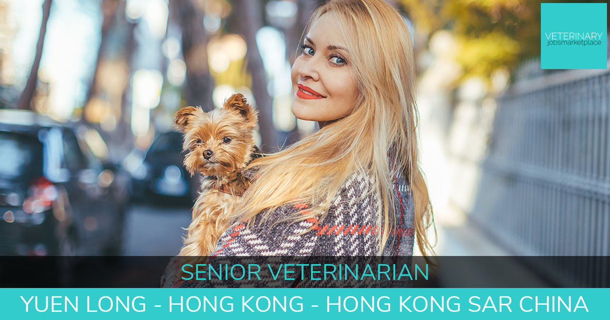 Veterinary Jobs Yuen Long Hong Kong Senior Veterinarian Veterinary