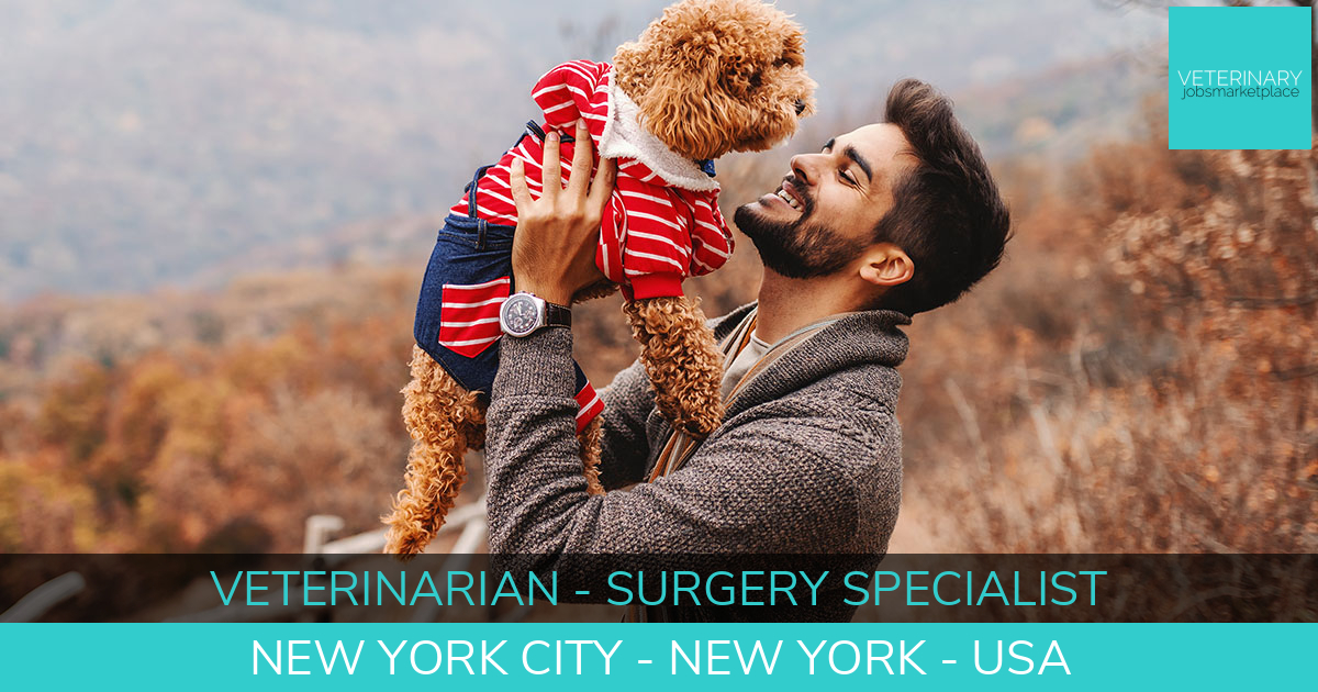 Veterinary Jobs New York City New York Veterinarian Surgery