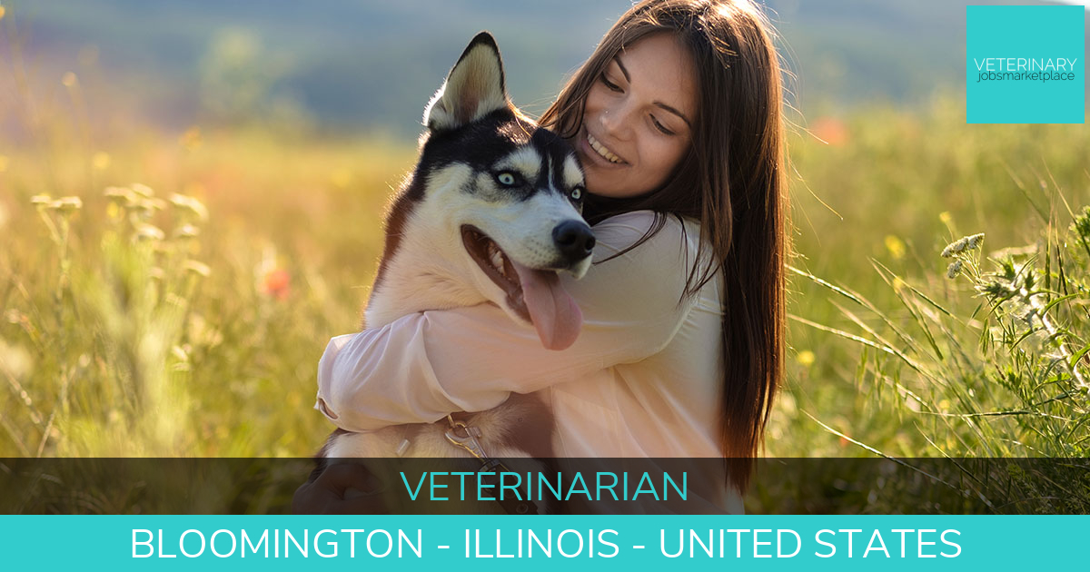Veterinary Jobs Bloomington Illinois Veterinarian Veterinary Jobs
