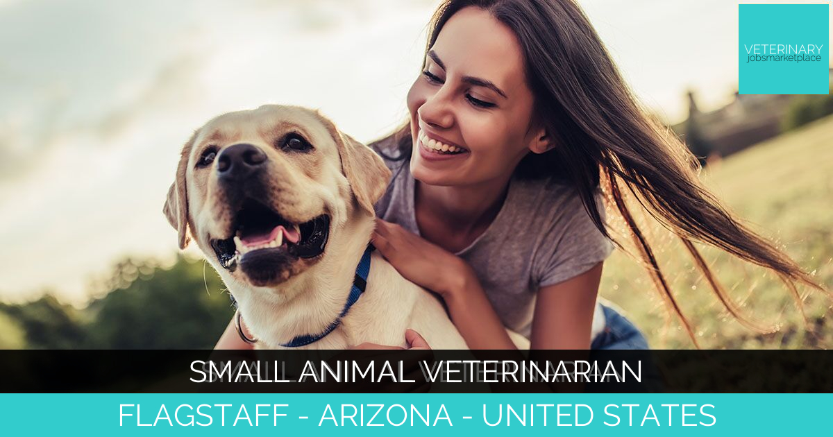 Small Animal Veterinarian