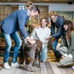 Veterinary Jobs - Vet Jobs - Veterinarian Jobs - DVM Jobs - Veterinary Surgeon Jobs - Veterinary Nurse Jobs - Vet Nurse Jobs - Veterinary Technician Jobs - Vet Tech Jobs - Veterinary Medicine Jobs - Veterinary Surgery Jobs - Vet Life