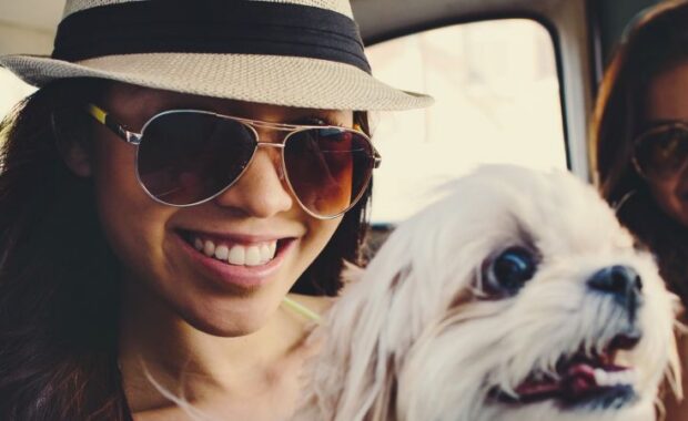 Veterinary Technician Jobs