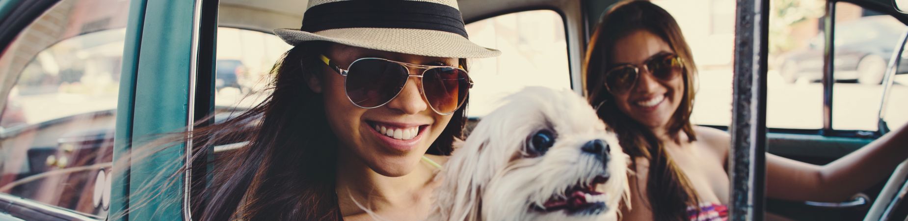 Veterinary Technician Jobs