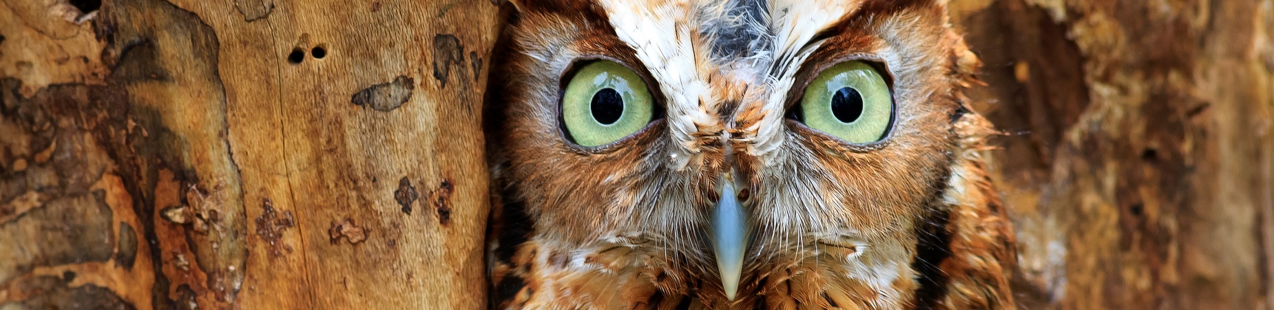 “Not this” isn’t a career plan: get clear before you start scrolling