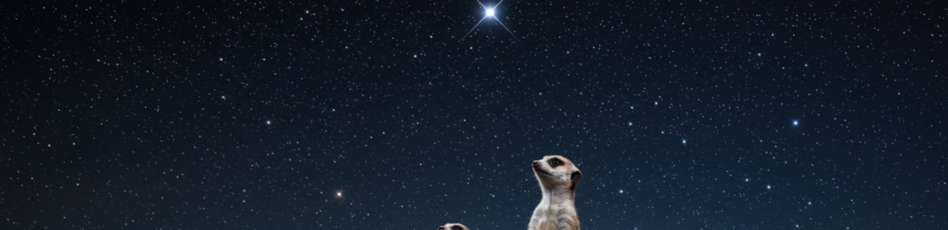 When every decision feels urgent, your practice needs a North Star