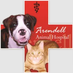 Veterinary Technician