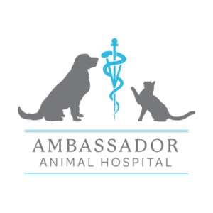 Veterinarian