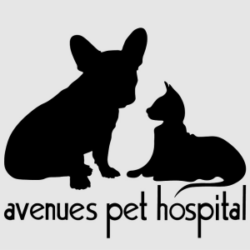 Avenues Pet Hospital