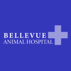 Bellevue Animal Hospital