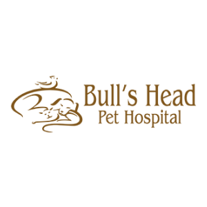 Veterinarian