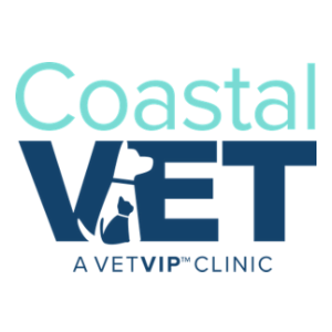 Veterinarian