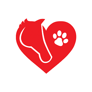 Veterinary Jobs - Vet Jobs - Veterinarian Jobs - DVM Jobs - Veterinary Surgeon Jobs - Veterinary Nurse Jobs - Vet Nurse Jobs - Veterinary Technician Jobs - Vet Tech Jobs - Veterinary Medicine Jobs - Veterinary Surgery Jobs - Vet Life