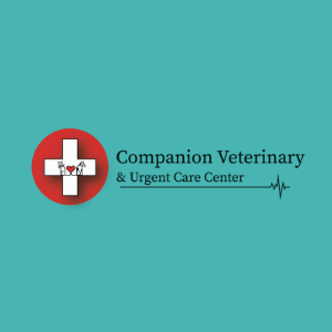 Veterinary Jobs - Vet Jobs - Veterinarian Jobs - DVM Jobs - Veterinary Surgeon Jobs - Veterinary Nurse Jobs - Vet Nurse Jobs - Veterinary Technician Jobs - Vet Tech Jobs - Veterinary Medicine Jobs - Veterinary Surgery Jobs - Vet Life