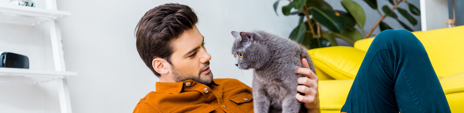 Veterinary Jobs - Vet Jobs - Veterinarian Jobs - DVM Jobs - Veterinary Surgeon Jobs - Veterinary Nurse Jobs - Vet Nurse Jobs - Veterinary Technician Jobs - Vet Tech Jobs - Veterinary Medicine Jobs - Veterinary Surgery Jobs - Vet Life