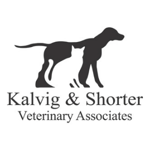 Veterinary Jobs - Vet Jobs - Veterinarian Jobs - DVM Jobs - Veterinary Surgeon Jobs - Veterinary Nurse Jobs - Vet Nurse Jobs - Veterinary Technician Jobs - Vet Tech Jobs - Veterinary Medicine Jobs - Veterinary Surgery Jobs - Vet Life