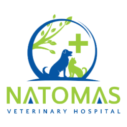 Natomas Veterinary Hospital