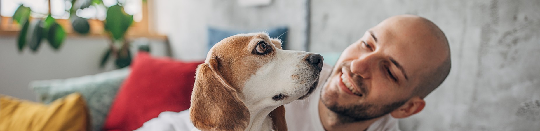 Veterinary Jobs - Vet Jobs - Veterinarian Jobs - DVM Jobs - Veterinary Surgeon Jobs - Veterinary Nurse Jobs - Vet Nurse Jobs - Veterinary Technician Jobs - Vet Tech Jobs - Veterinary Medicine Jobs - Veterinary Surgery Jobs - Vet Life