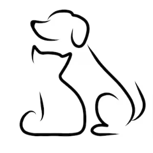 Associate Veterinarian