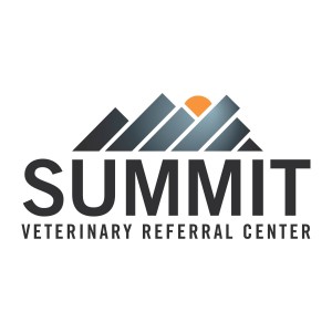 Veterinary Jobs - Vet Jobs - Veterinarian Jobs - DVM Jobs - Veterinary Surgeon Jobs - Veterinary Nurse Jobs - Vet Nurse Jobs - Veterinary Technician Jobs - Vet Tech Jobs - Veterinary Medicine Jobs - Veterinary Surgery Jobs - Vet Life