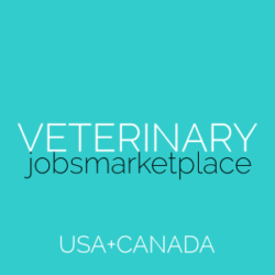Veterinary Jobs Marketplace Hospital