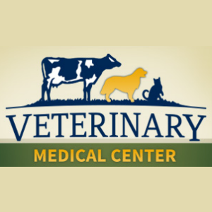 Small Animal Veterinarian