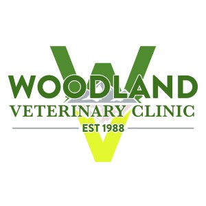 Veterinary Jobs - Vet Jobs - Veterinarian Jobs - DVM Jobs - Veterinary Surgeon Jobs - Veterinary Nurse Jobs - Vet Nurse Jobs - Veterinary Technician Jobs - Vet Tech Jobs - Veterinary Medicine Jobs - Veterinary Surgery Jobs - Vet Life
