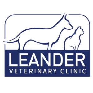 Associate Veterinarian