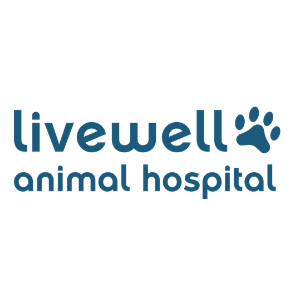 Founding Lead Veterinarian