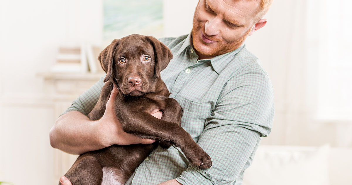 Veterinary Jobs News & Views – Week Ending 14 April 2023