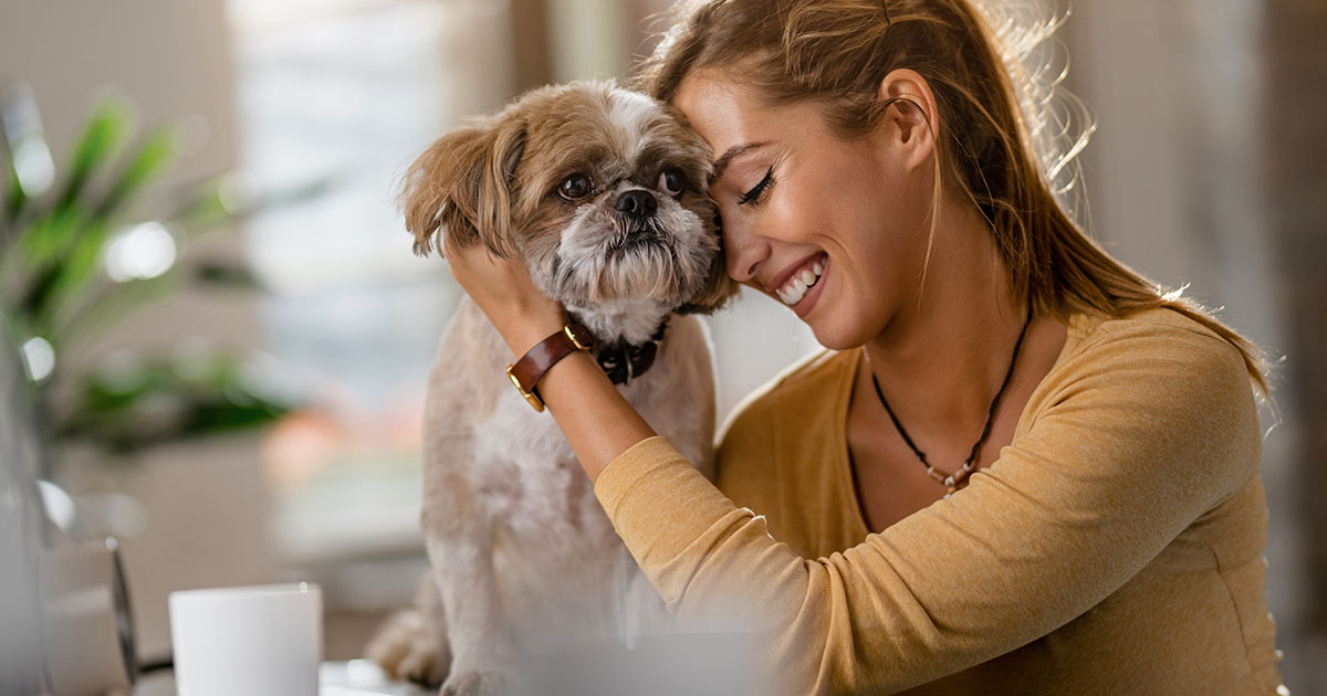 Latest Veterinary Jobs News & Views 20 April 2023 Veterinary Jobs